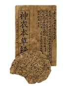 约1900前 · 秦汉《神农本草经》载白胶上品